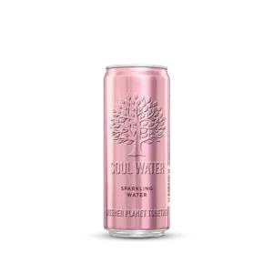 sparkling water can product - 330ml